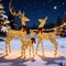 3 Piece LED Lighted Deer Family Set Doe Fawn Outdoor Christmas Yard Decoration 75.5 × 41 × 35 cm